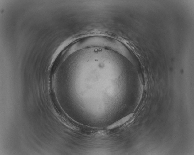 X0000068850056200605081225