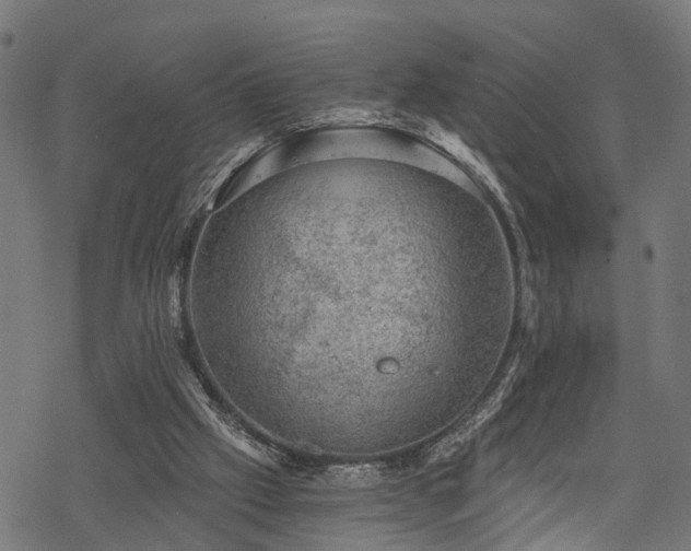 X0000068850057200605081225