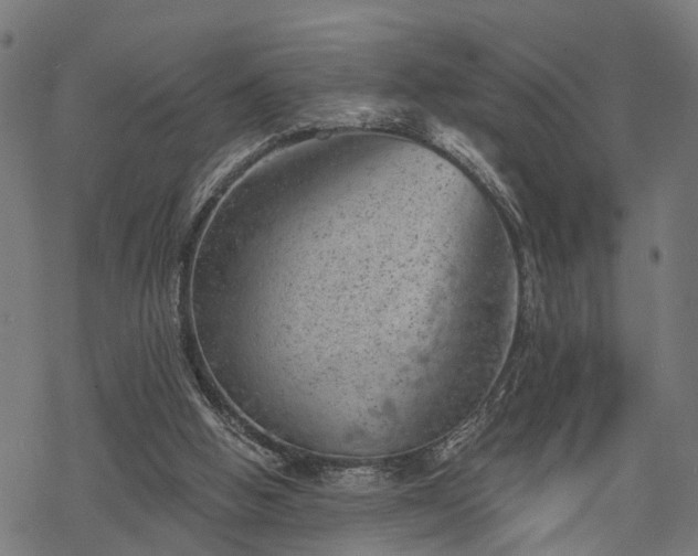 X0000068850058200605081225