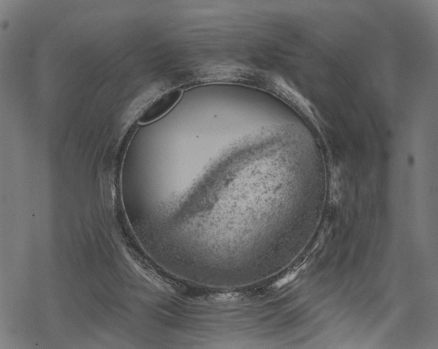 X0000068850059200605081225