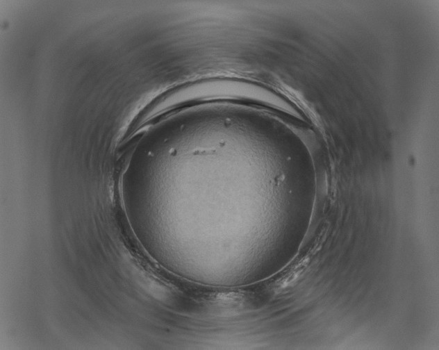 X0000068850060200605081225