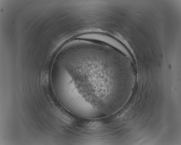 X0000068850063200605081225