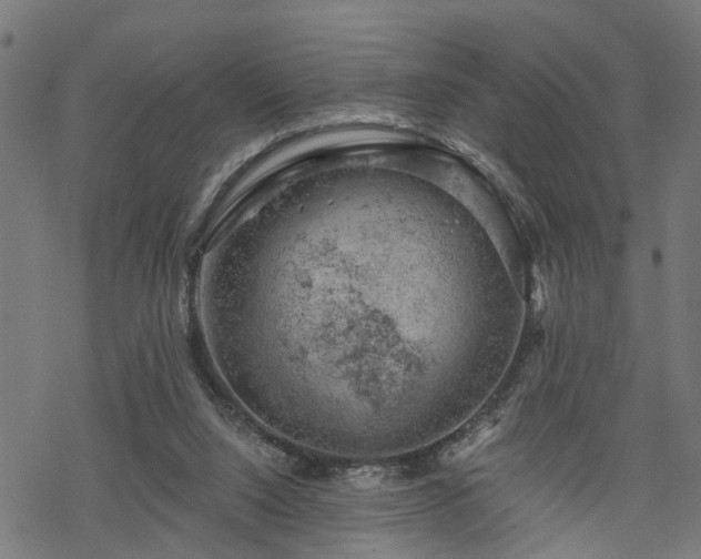 X0000068850064200605081225