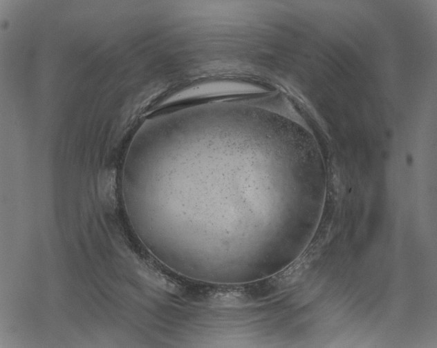 X0000068850066200605081225