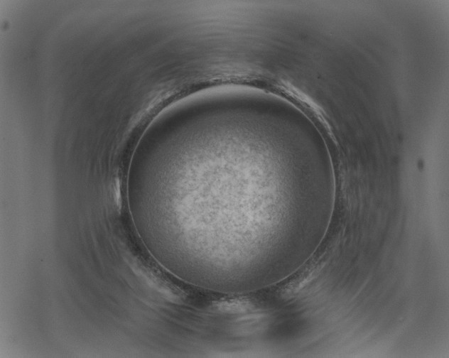 X0000068850067200605081225