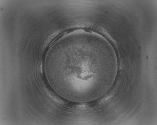 X0000068850068200605081225