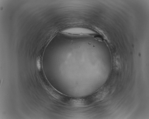 X0000068850069200605081225