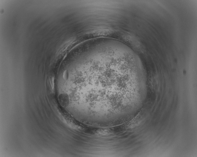 X0000068850070200605081225