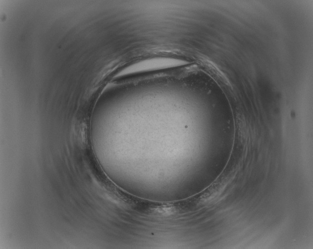 X0000068850071200605081225