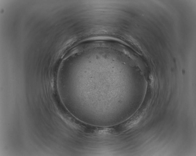 X0000068850072200605081225