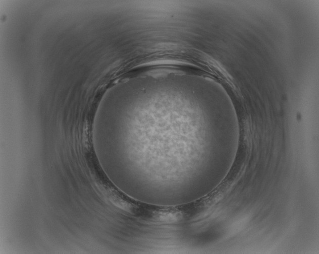 X0000068850073200605081226