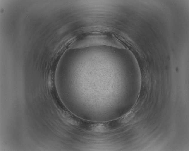 X0000068850074200605081226