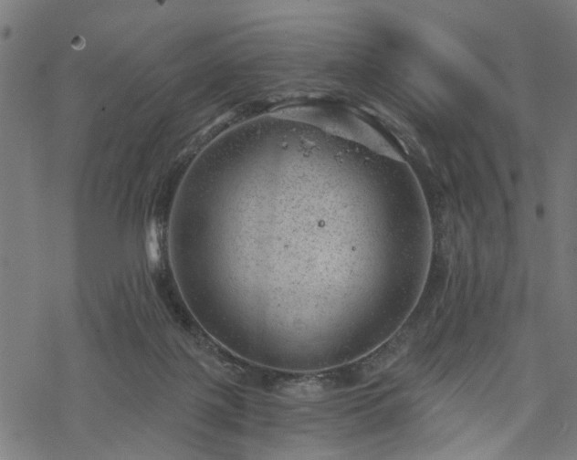 X0000068850075200605081226