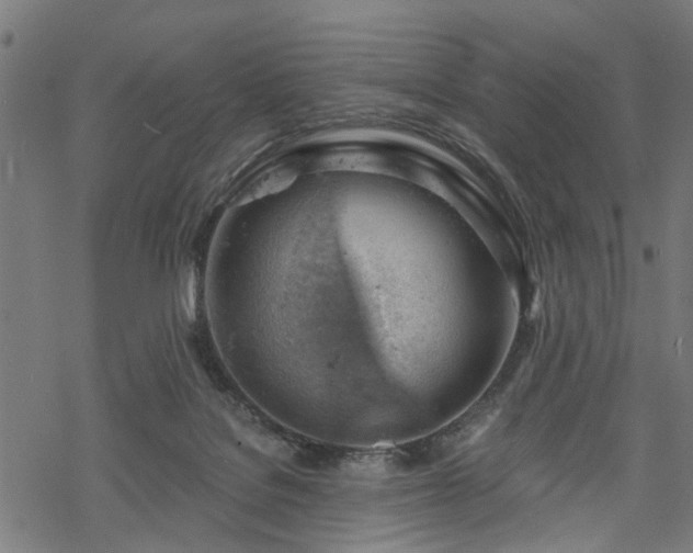 X0000068850076200605081226