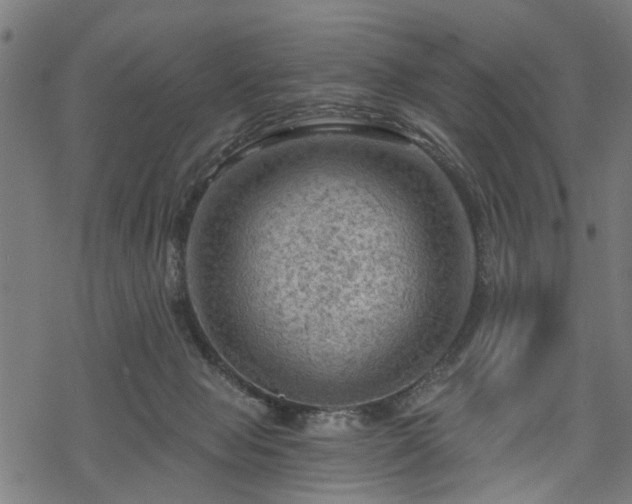 X0000068850077200605081226