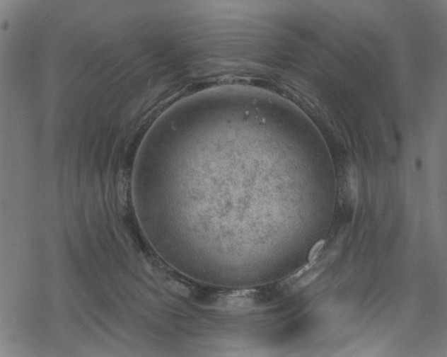 X0000068850078200605081226