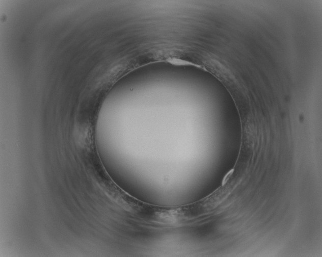 X0000068850079200605081226