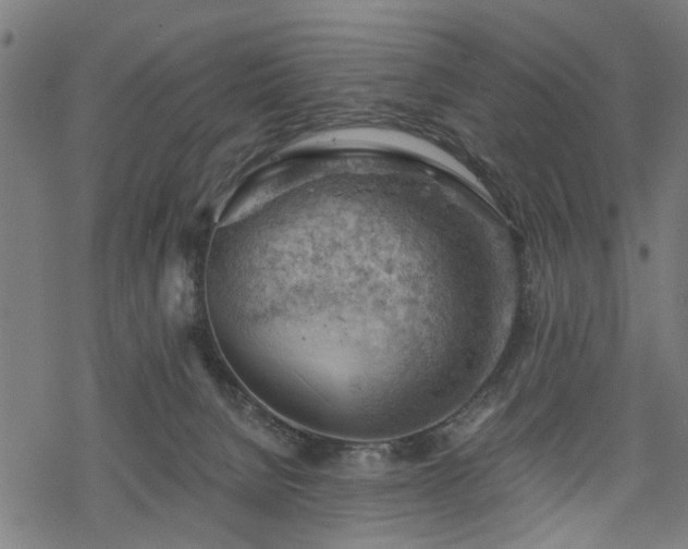 X0000068850080200605081226