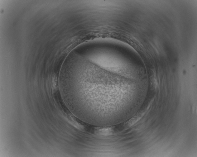 X0000068850081200605081226