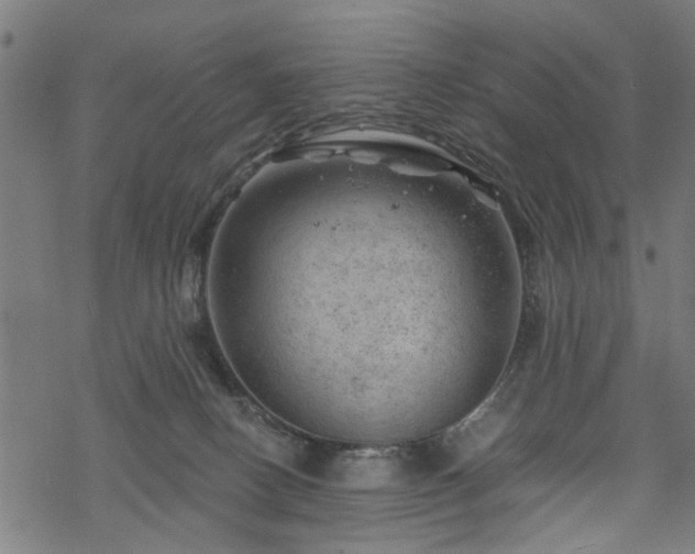 X0000068850082200605081226