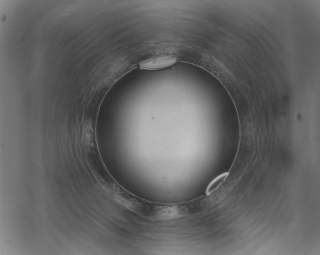 X0000068850083200605081226