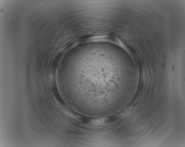 X0000068850084200605081226