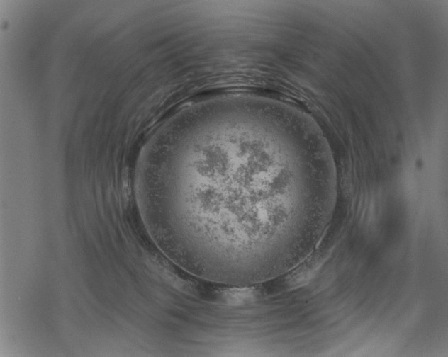 X0000068850085200605081226