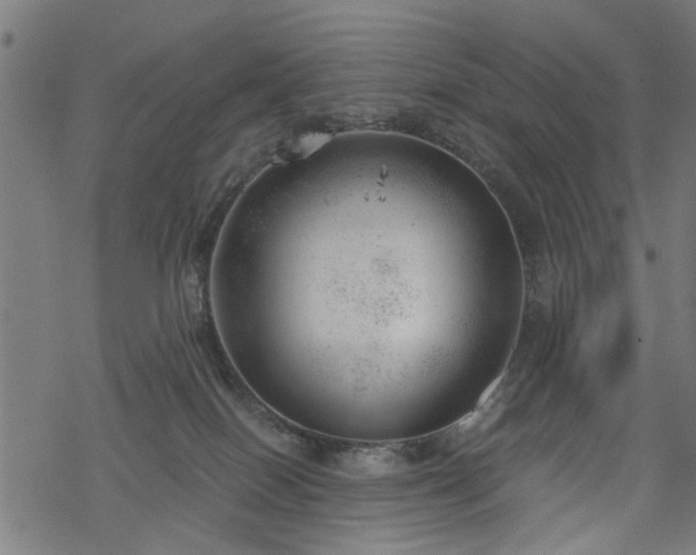 X0000068850086200605081226