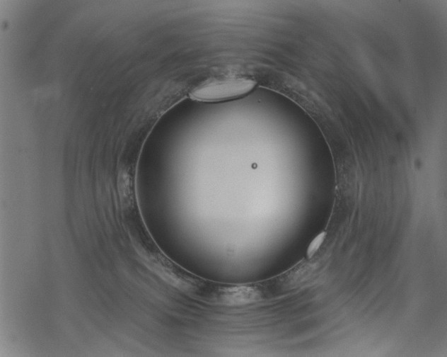 X0000068850087200605081226