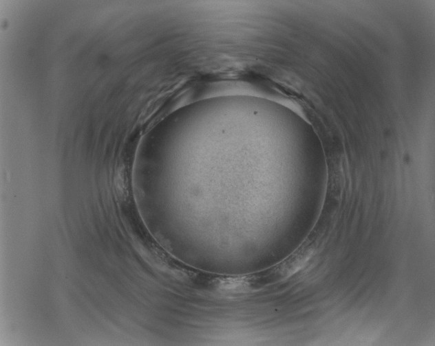 X0000068850088200605081226