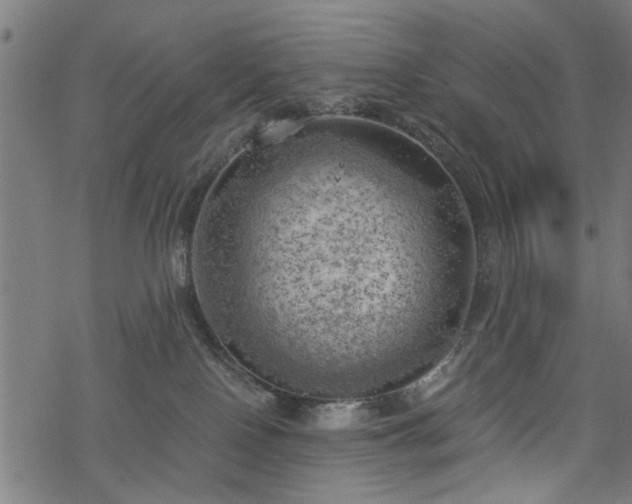 X0000068850090200605081226