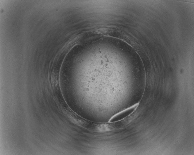 X0000068850091200605081226