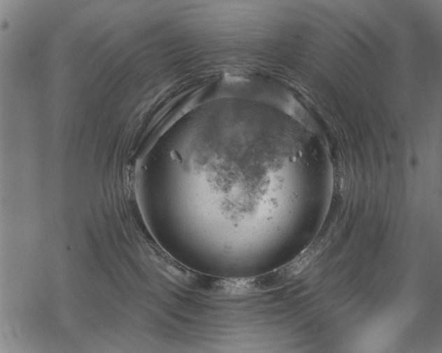 X0000068850093200605081226