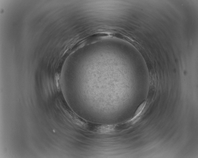 X0000068850094200605081226