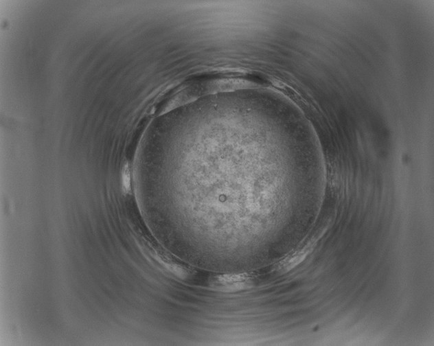 X0000068850095200605081226