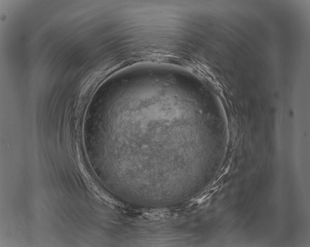 X0000068850097200605081225