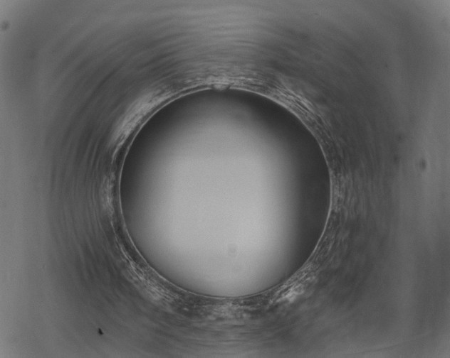 X0000068850098200605081225