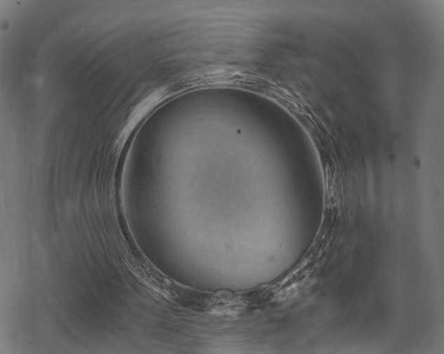 X0000068850099200605081225