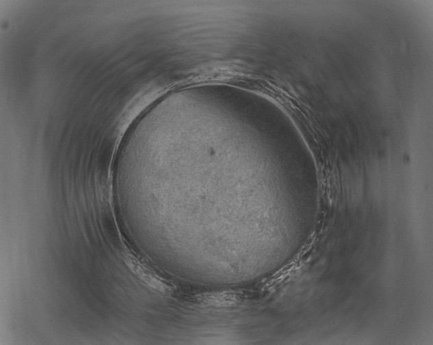 X0000068850100200605081225