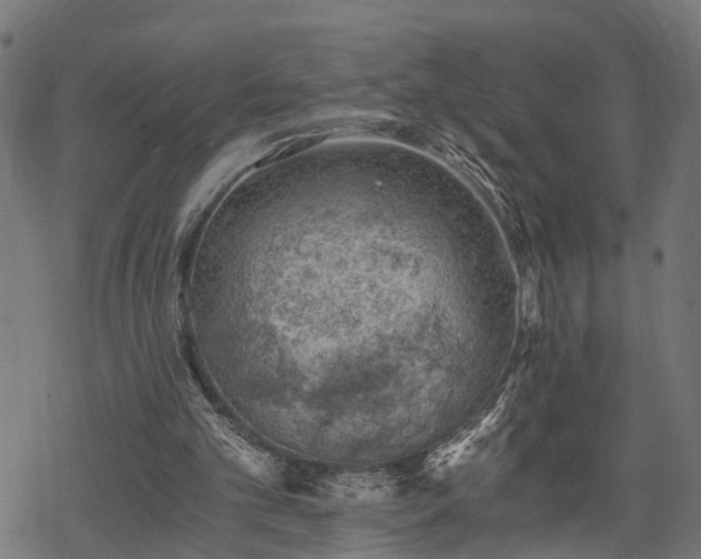 X0000068850101200605081225