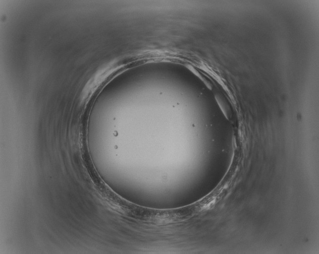 X0000068850103200605081225