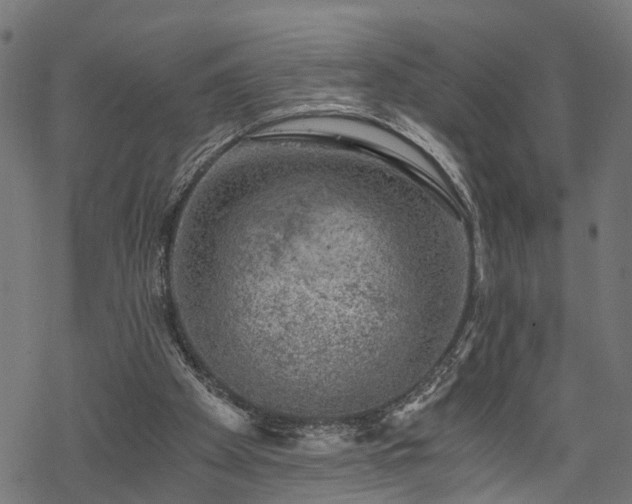 X0000068850105200605081225