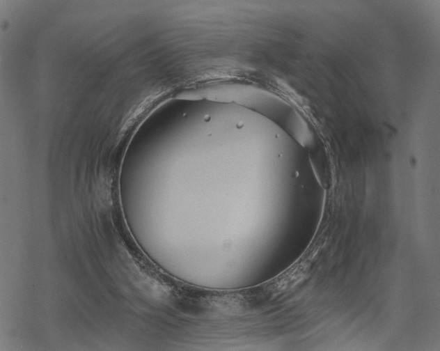 X0000068850106200605081225