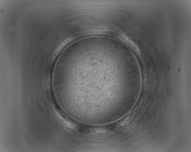 X0000068850107200605081225