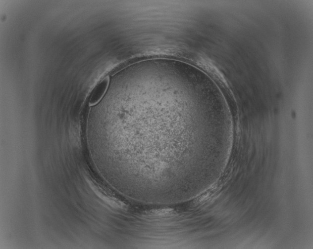 X0000068850108200605081225