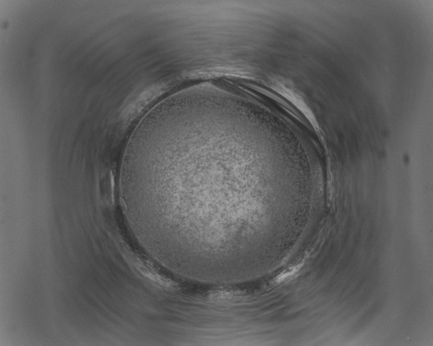 X0000068850109200605081225