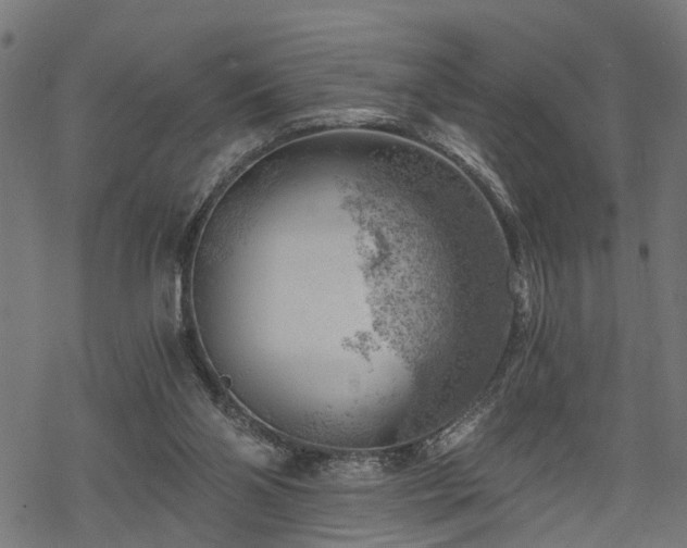 X0000068850110200605081225