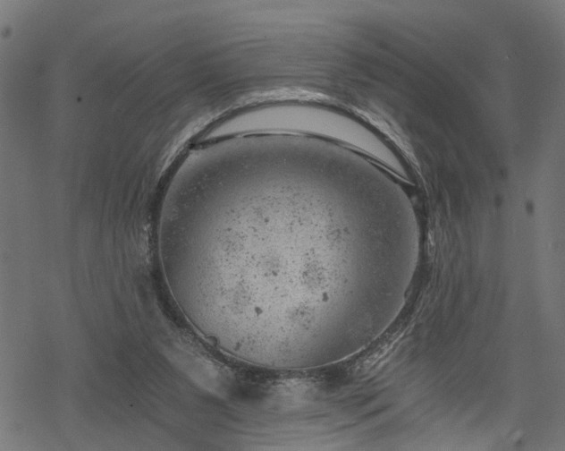 X0000068850111200605081225