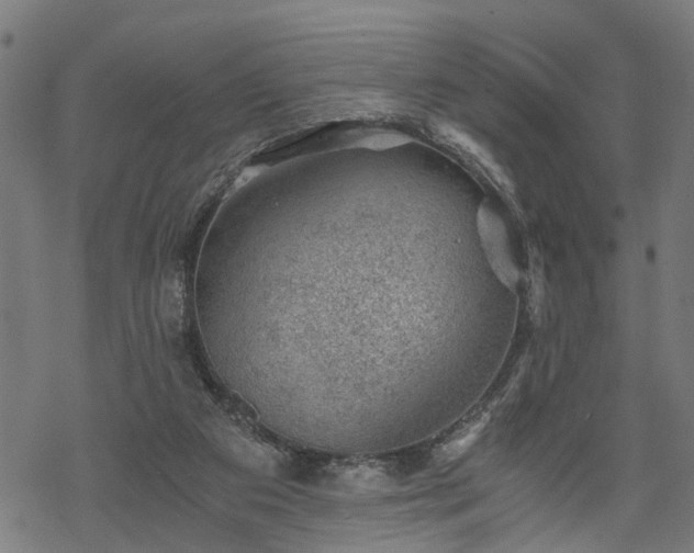 X0000068850113200605081225