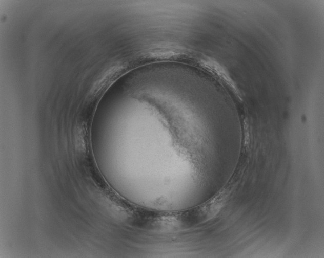 X0000068850114200605081225